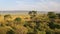 Aerial Wildlife Shot of Bird in a Tree with Beautiful Landscape Scenery in Masai Mara in Africa, Ken