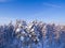 Aerial Winter forest Landscape. Bird eye view from drone