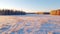 Aerial Winter Landscape: Snowy Field And Trees In Rural Finland