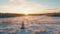 Aerial Winter Landscape: Sunlit Snowy Field In Rural Finland