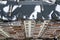 Aerial winter top view of tall apartment building, brick chimneys, tiled roof. Urban infrastructure, view from above