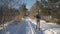 Aerial woman carries pine branches along empty forest road