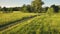 Aerial woman ride bike at green grass field. Summer nature landscape. Tourist girl drive bicycle