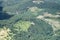 Aerial of wooded slopes of san Nicola peak, Agri valley, Italy