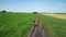 AERIAL: Young man cycling on bicycle at rural road through green and yellow field.
