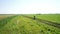 AERIAL: Young man cycling on bicycle at rural road through green and yellow field.