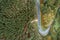 Aerial zenith view of the curves of a mountain road through oak forests.