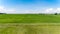 Aerical view of Rice field green grass blue sky