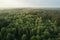 aeriel view of forest, with drone flying through the trees