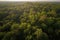 aeriel view of forest, with drone flying through the trees