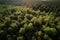 aeriel view of forest, with drone flying through the trees