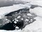 Aeriel view of the huge icebergs in Greenland