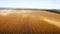 Aero : cloudy sky over golden field of corn - aerial photo