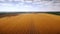 Aero : cloudy sky over golden field of corn - aerial photo