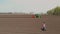 Aero. Female agronomist walks on field with special soil rows. She tests, using tablet, quality of automated potatoe