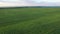 Aero Flight over the corn field in sunset