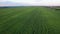 Aero Flight over the corn field in sunset