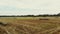 Aero video filming. a large field of mown wheat, after harvesting. many sheaves, large bales of straw. day summer