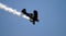 Aerobatic Plane I