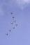 Aerobatic team fomation 8 planes down view