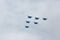 Aerobatics performed by aviation group of aerobatics Military-air forces Russian Knights on planes Su-27