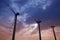 Aerogenerator windmills on dramatic sunset sky