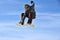 Aeroski: snowboarder touches his board