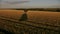 Aerostat take down at wheat field at sunset time