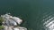 Aesthetic aerial shot of a green rocky sea shore and deep blue water in lighthouse Park, Vancouver