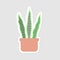 Aesthetic cactus sticker design