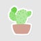 Aesthetic cactus sticker design