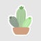 Aesthetic cactus sticker design