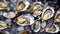 Aesthetic Delicacy: Open Oysters on Ice. Perfect for Seafood Menus and Food Blogs.