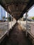 Aesthetic Empty Pedestrian Bridge