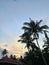 Aesthetic photos of several coconut trees and the beautiful evening sky