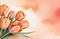 Aesthetic romantic card in Peach Fuzz color with delicate peach-colored tulips, watercolor. Free space for text