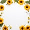 Aesthetic Sunflower Charm Wide Copy Bliss