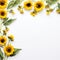 Aesthetic Sunflower Edges Open Copy Space