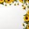 Aesthetic Sunflower Edges Simple Beauty