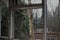 Aesthetic window in an abandoned building overlooking the forest and birch