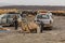 AFAR, ETHIOPIA - MARCH 25, 2019: Tourist vehicles in Dodom village under Erta Ale volcano in Afar depression, Ethiop