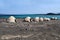 Afar tents / huts Ghoubet beach, Devils Island Ghoubbet-el-Kharab Djibouti East Africa