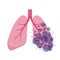 Affected human lungs. Internal organs of the human design element