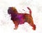 Affenpinscher 01 in watercolor