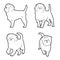 Affenpinscher Animal Vector Illustration Hand Drawn Cartoon Art