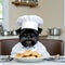 Affenpinscher dog wearing a chef\'s hat sitting at a dining table