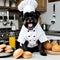 Affenpinscher dog wearing a chef\'s hat sitting in a kitchen fill