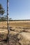 Afforestation of the former sand mine