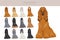 Afghan hound all colours clipart. Different coat colors set