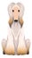 Afghan hound breed icon. Friendly furry dog